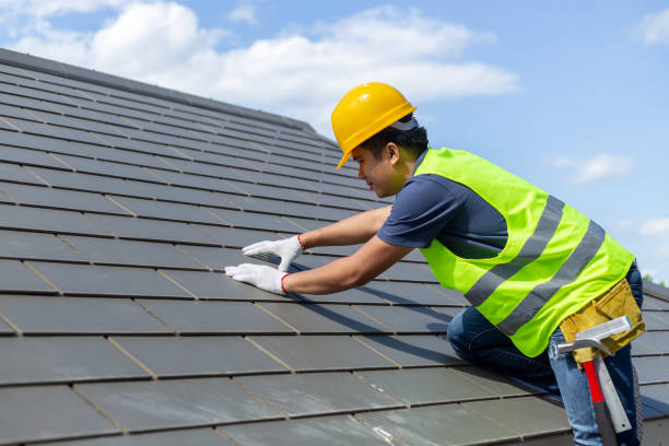 Best Roof Insulation Installation  in Springfield, MI