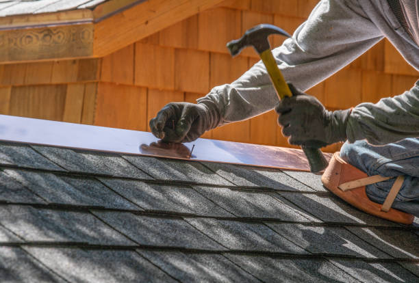 Best Solar Panel Roofing Installation  in Springfield, MI