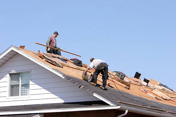 Best Roof Coating Services  in Springfield, MI